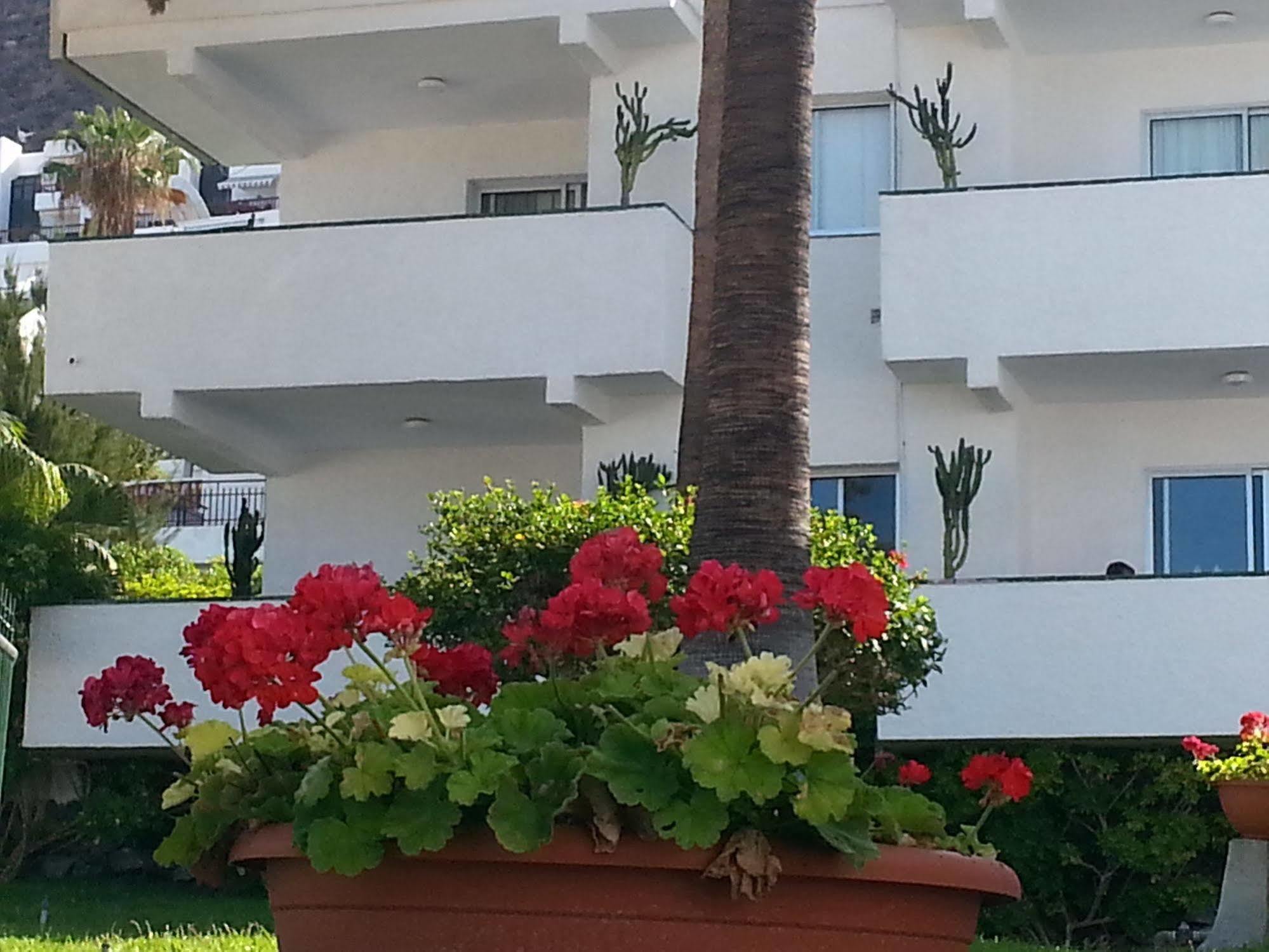 Apartamentos El Sombrero Acantilado de los Gigantes Ngoại thất bức ảnh